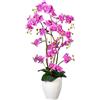 Orchidea phalaenopsis, real touch - kaiserkraft