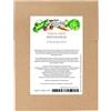 Magic Garden Seeds Verdure d'inverno - set di semi con 8 varietà vegetali resistenti al freddo e facili da conservare