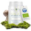 BEAUVITAL Pure Bio Agaricus blazei 100g fungo in polvere da agricoltura biologica UE, vegano, senza additivi artificiali