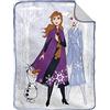 Jay Franco Disney Frozen Scena Invernale 130 x 150cm Copridivano Lana Morbido Sherpa