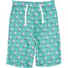 DOLCE&GABBANA - Shorts & Bermuda
