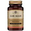 SOLGAR IT. MULTINUTRIENT SPA GAR AGLIO 100PRL