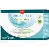 Erba Vita BRONCOVIT TISANA BALSAMICA 20 BUSTINE