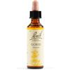 SCHWABE PHARMA ITALIA GORSE BACH ORIGINAL 20ML