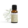 Mystic Moments Olio Essenziale di Litsea Cubeba - 10ml - 100% Puro :  : Bellezza