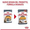 ROYAL CANIN Hair And Skin Gravy Busta gr 85. Royal Canin . Cibo Umido Per Gatti