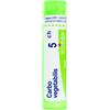 Boiron Carbo Vegetabilis 5Ch Granuli Omeopatici, 4g