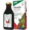 SALUS HAUS GMBH & CO KG Floradix - Integratore di Ferro e Vitamine - 500 ml