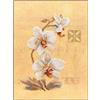 LANARTE Kit Punto Croce Contato Tre Orchidee Decorativi per Pareti ca. 17 x 23 cm Set Fai da Te Creativo Adulti Ricamo Casa Decor Arte da Parete Kit per Hobby Cross Stitch