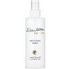 Ellen Wille Expert Care Humain Hair Anti Static Spray 200 ml