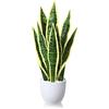 Sansevieria Pianta Artificiale, Confronta prezzi