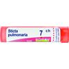 BOIRON Srl Sticta Pulmonaria 7CH Boiron 80 Granuli
