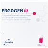 Ergogen 18 bustine