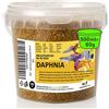 UGF Underground Food UGF - Daphnia Premium pulci d'acqua - 80 g in un secchio da 500 ml, Cibo secco per pesci per acquari, Cibo per acquari, Snack per pesci ornamentali
