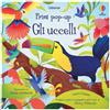 Gli uccelli