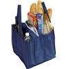 Borsa da pranzo isolata Borsa tote per donne uomini adulti Wildcat  scozzese, borsa termica resistente all'acqua Organizzatore di pranzo termico  Lavoro picnic all'aperto