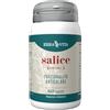 ERBA VITA Integratore Alimentare di Salice - 60 Capsule - Fonte naturale di silice che fvorisce il benessere dei capelli e delle unghie, 1 unità, 1