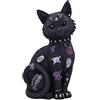 Nemesis Now Bad to the bone Unisex Statuetta standard poliresina