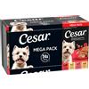 Cesar Vaschette 24 x 150 g Umido per cane - Ricette classiche