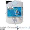 ANTIALGHE SCHIARENTE DA 25 lt - OFFERTE PRODOTTI CHIMICI PER LA PULIZIA DELLA PISCINA ONLINE