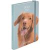 Draeger Paris - Agenda de poche Chiens - 2023