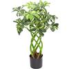 Leaf Arboricola artificiale, pianta sempreverde, bonsai, 70 cm
