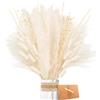 ZJTAPE Piume Erba Della Pampas - Set di Erba di Pampa Essiccata Naturale, Erba di Pampa Bianca Fronde Soffici, Bouquet di Fiori Secchi per il Matrimonio Perfetto, Decorazioni Per la Casa