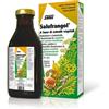 Salus - Salufrangol Integratore Digestivo Confezione 250 Ml