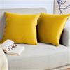 Blumtal Set di 2 Federe Cuscini Divano 30x50 cm in Velluto, con Chiusura Lampo Invisibile, Eleganti Copricuscini Divano in Morbido Velluto,Taglia 30 x 50, Giallo
