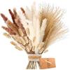 ZJTAPE Piume Erba della pampas - Erba di Pampa Essiccata Naturale, Marrone、Erba di Pampa Bianca Fronde soffici, Bouquet di fiori secchi , per la Decorazione Della Casa di Fiori