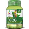 Colours of Life Thè Verde EGCG Integratore per l'equilibrio del peso e il drenaggio dei liquidi 60 capsule vegetali