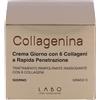 Collagenina Labo LABO Collagenina Crema Giorno con 6 collageni a Rapida Penetrazione Grado 3 50 ml giorno