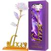 Gomyhom Rosa 24K Regali per Lei Fiore Rose Stabilizzata Idee