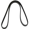 DAYCO 6PK1076 CINGHIA POLY-V COM. A-S PEUGEOT 306 XT | Compatibile con: AUDI A2, A4 B6, A4 B6 Avant, CITROËN BERLINGO / BERLINGO FIRST Großraumlimousine (MF_, GJK_, GFK_