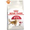 Royal Canin Cat Fit 32 - Sacco da 400 Gr