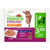 TRAINER Nat. Cat FLOWPACK BST Sterilized TACCHIN STERILIZED