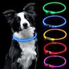 AUAUY Collare Luminoso per Cani, LED Ricaricabile USB, Regolabile, Blu | Collare per Animali Domestico, Impermeabile, per Piccola, Media, Grande, Cane/Gatti