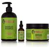 Mielle Organics Mielle/Rosmarino Menta Rinforzante/Shampoo/Maschera per capelli/Olio rinforzante per cuoio capelluto e capelli (siero)/Offerta/Confezione regalo