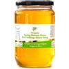 Bulgarian Bee 900 g Miele d'Api Fiorito di Bosco Primaverile Biologico