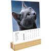 DRAEGER - Calendrier sur socle Chats - 2023, Blanc, 77005151