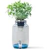 Resetea, Blue Jar, barattolo per coltivazione idroponica creativa