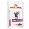 Royal Canin Veterinary Diet Royal Canin V-Diet Renal al Pesce Gatto Busta - 85 g