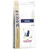 Royal Canin Veterinary Diet Royal Canin V-Diet Gatto Renal Secco - 2 Kg