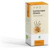 GHEOS Cordyceps Gheos 90 Capsule Da 540mg