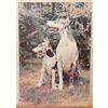(PRL) ANIMALI CANE CANI CHIEN DOG DOGS VINTAGE AFFICHE ART PRINT POSTER