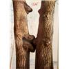 (PRL) AMORE ALBERI NATURA LOVE TREE ARBRE AMOUR VINTAGE AFFICHE PRINT ART POSTER