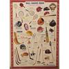 (PRL) 2003 SPORT BALL GAME GEAR EQUIPAGGIAMENTO ATTREZZATURA PRINT POSTER