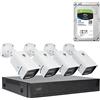 PNI Kit videosorveglianza PNI House IPMAX POE 3, 4 telecamere 3MP, esterno, Power over Ethernet, rilevamento movimento, HDD 1Tb