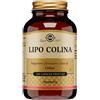 6741 Solgar Lipo Colina 100 Capsule Vegetali 6741 6741