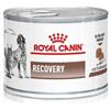 6057 Royal Canin Veterinary Diet Recovery Umido Per Cani/gatti Lattina 195g 6057 6057